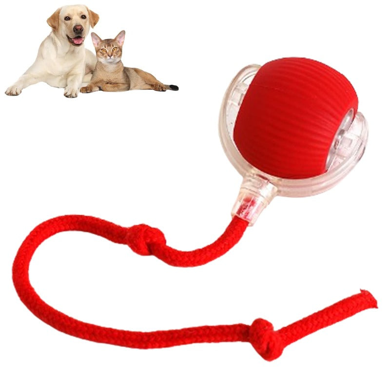 Tail Ball Runner Toy ™ - Interactive Pet Ball Toy